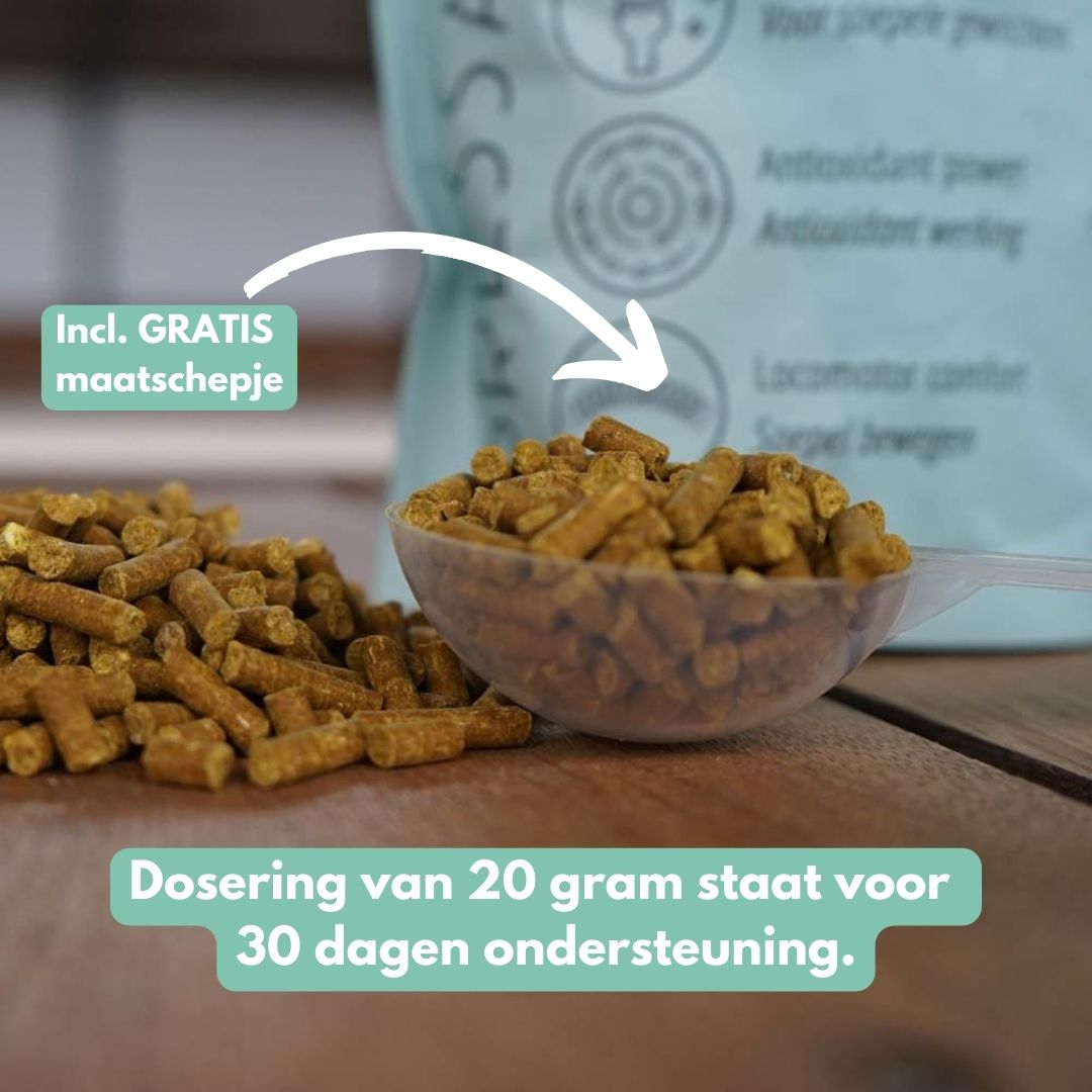 MotionPro | Voor soepele beweging en gezonde gewrichten