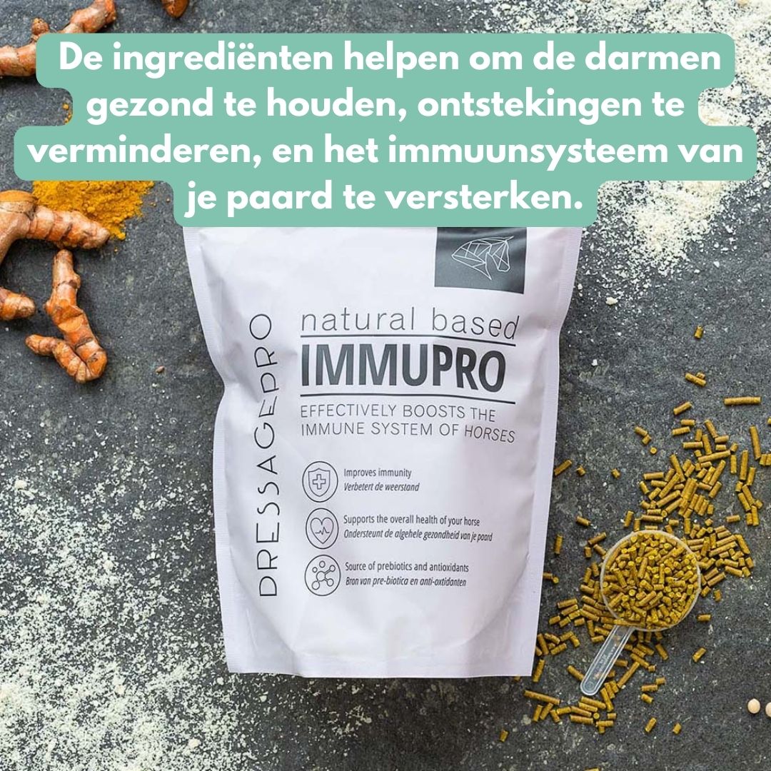ImmuPro | Boost je paard’s weerstand van binnenuit