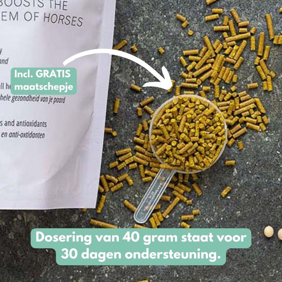 ImmuPro | Boost je paard’s weerstand van binnenuit
