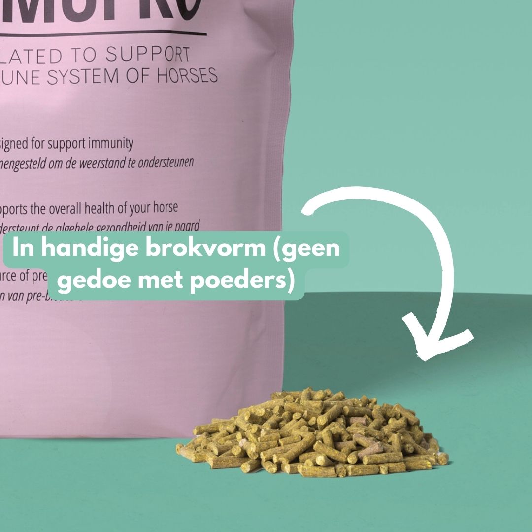 ImmuPro | Boost je paard’s weerstand van binnenuit