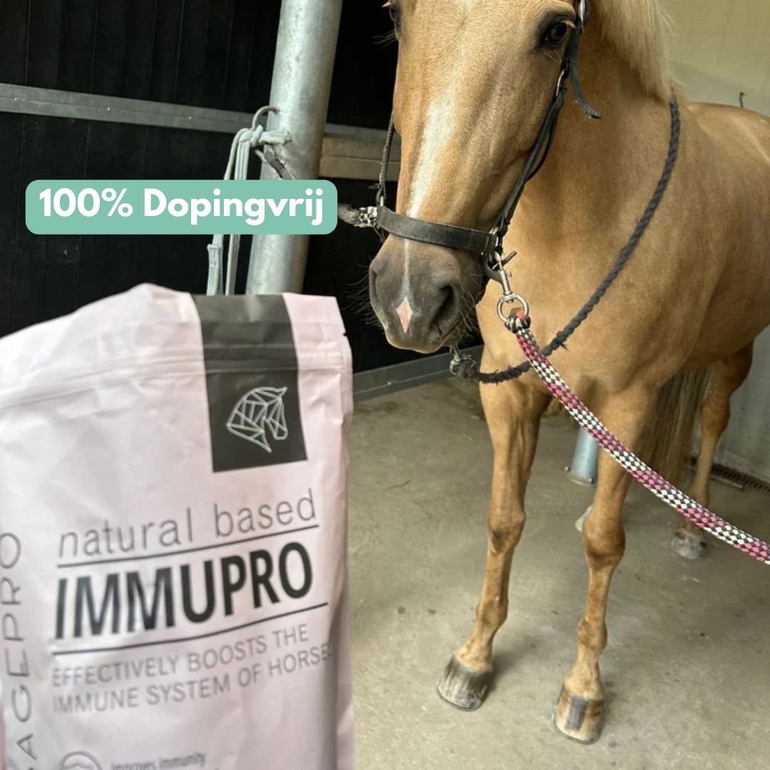 ImmuPro | Boost je paard’s weerstand van binnenuit