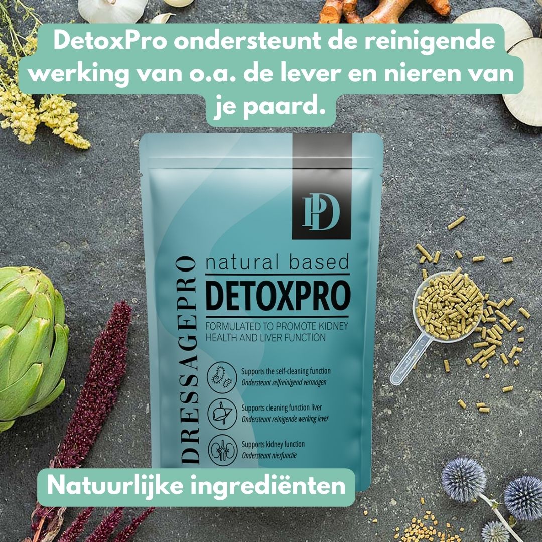 DetoxPro | Ondersteunt lever & afvoer van afvalstoffen [15-daagse kuur]
