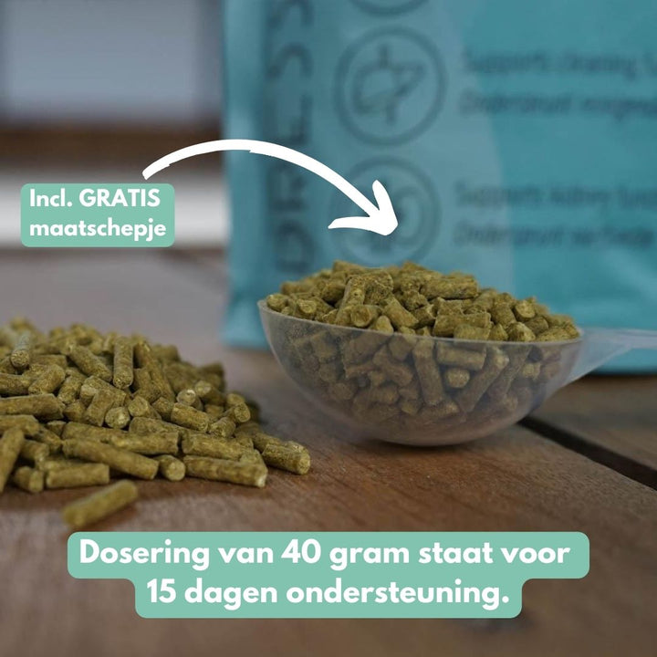 DetoxPro | Ondersteunt lever & afvoer van afvalstoffen [15-daagse kuur]