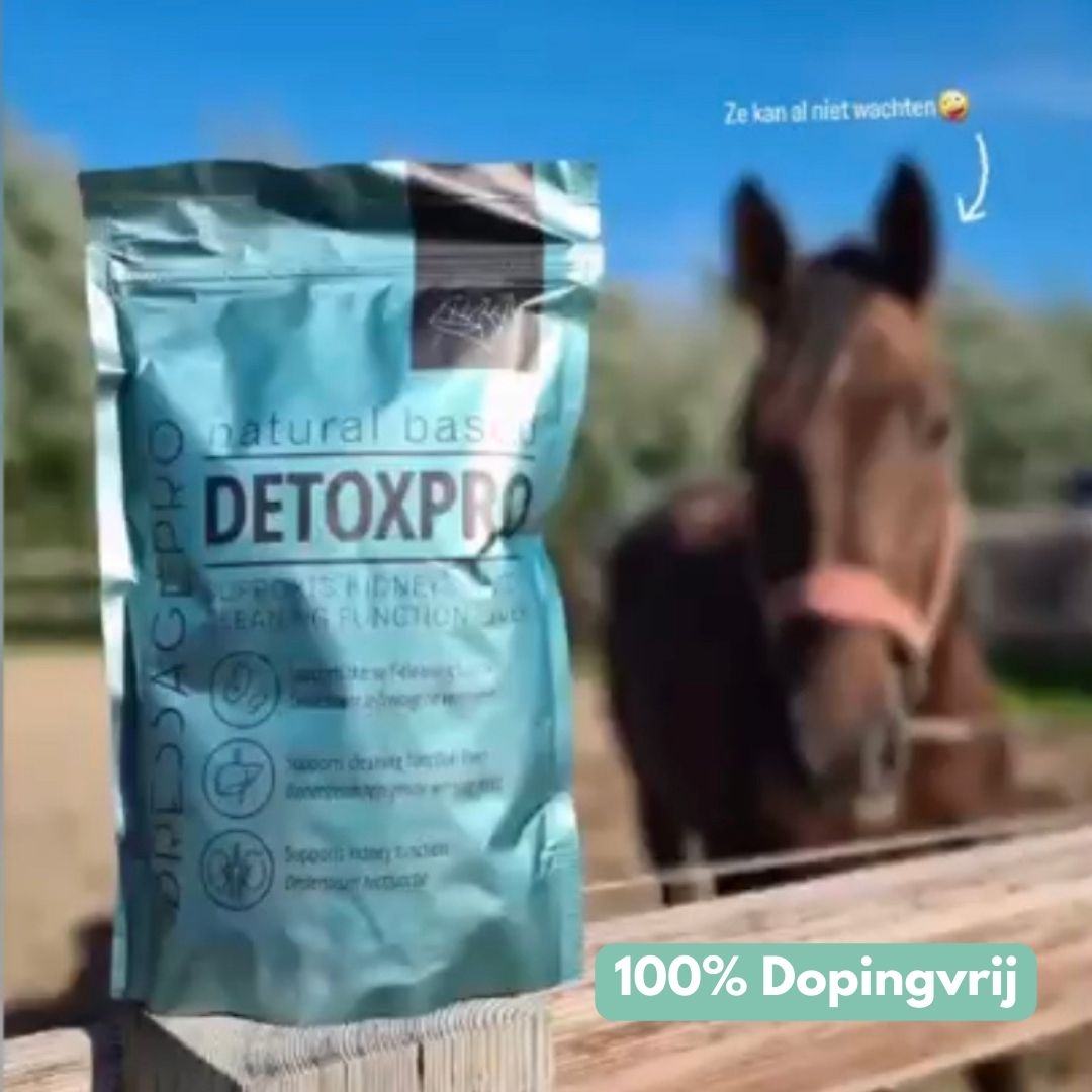 DetoxPro | Ondersteunt lever & afvoer van afvalstoffen [15-daagse kuur]