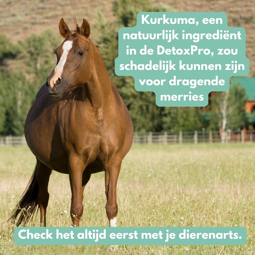 DetoxPro | Ondersteunt lever & afvoer van afvalstoffen [15-daagse kuur]