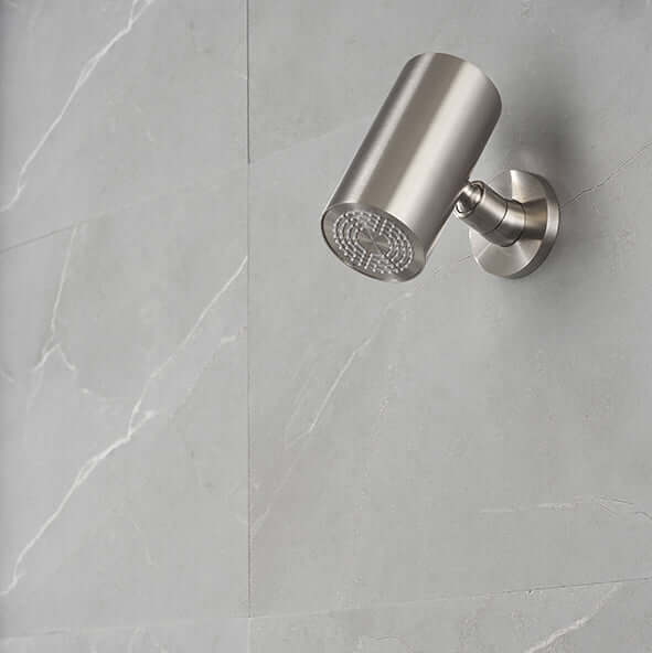 UniMatch Beam hoofddouche rond 1 stand met muurbevestiging geborsteld staal PVD