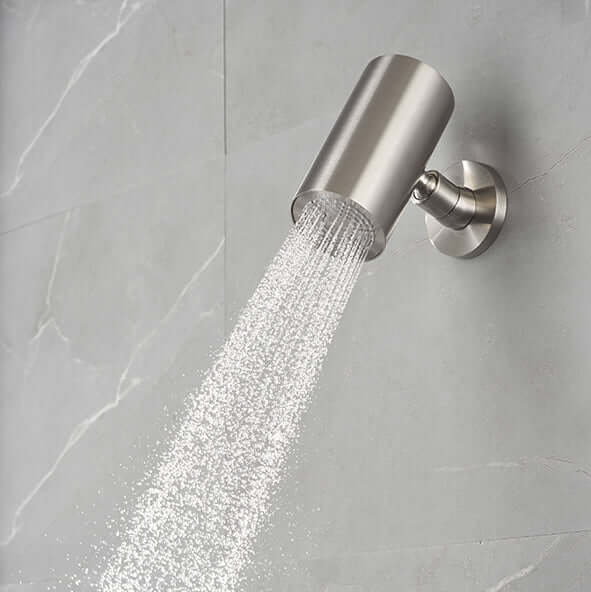 UniMatch Beam hoofddouche rond 1 stand met muurbevestiging geborsteld staal PVD