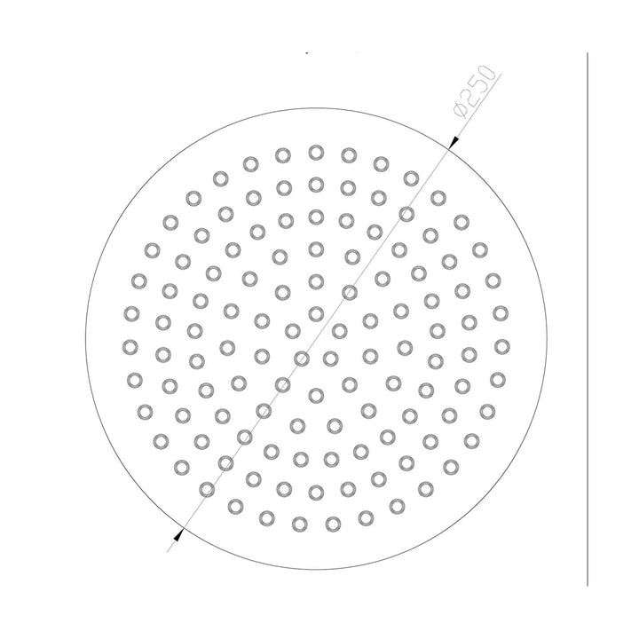 304-Ufo Ronde Hoofddouche Wiesbaden 25 Cm in RVS