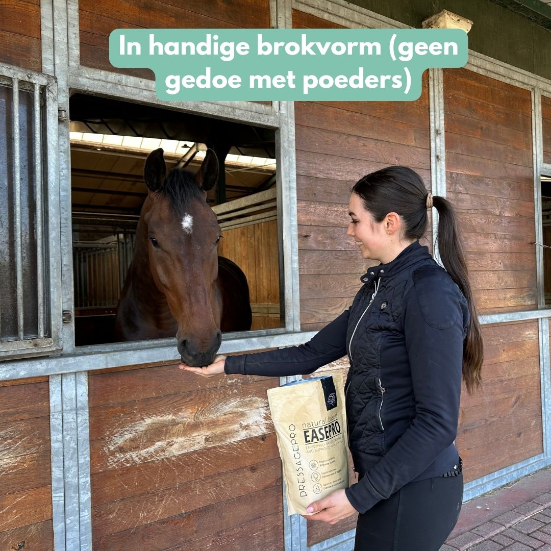 EasePro | Meer ontspanning, minder stress