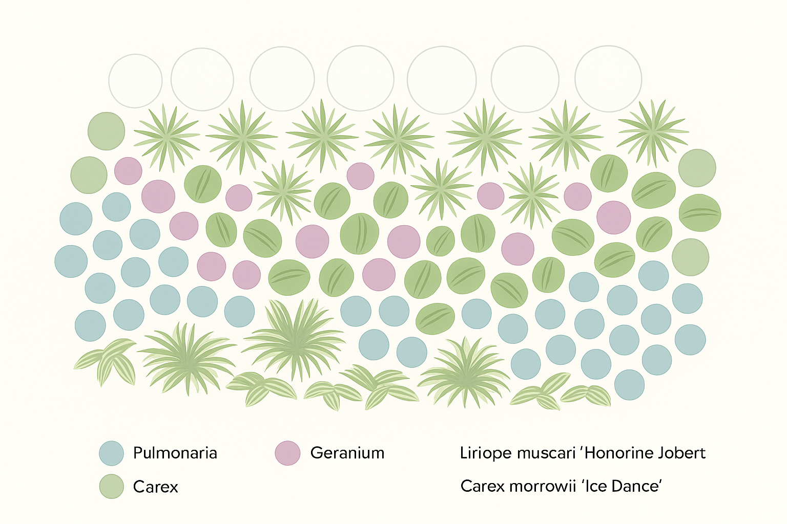 Borderpakket  – Jaarrond kleur & bloei – Frisse tinten & zachte uitstraling - 5m² - 50 planten