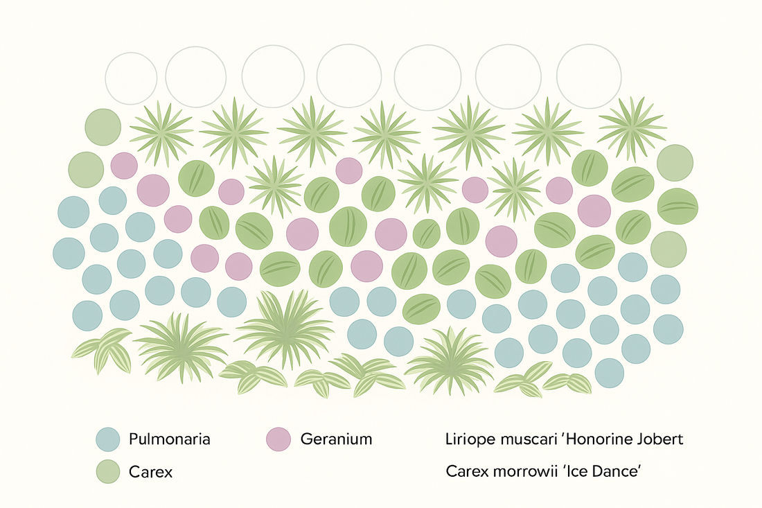 Borderpakket  – Jaarrond kleur & bloei – Frisse tinten & zachte uitstraling - 5m² - 50 planten