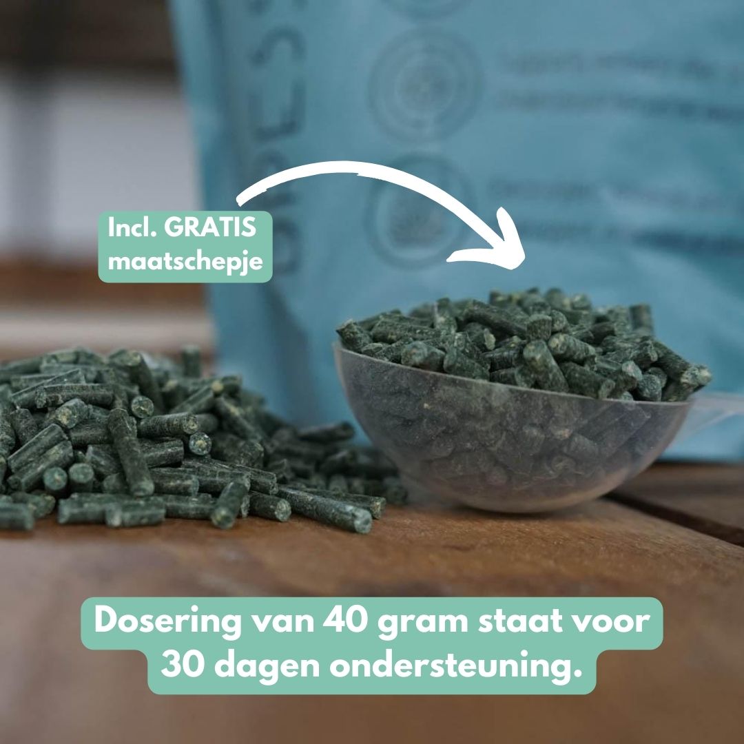 ActivePro | Bouw spierkracht op, herstel sneller