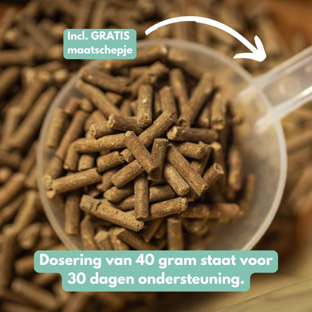 EasePro | Meer ontspanning, minder stress