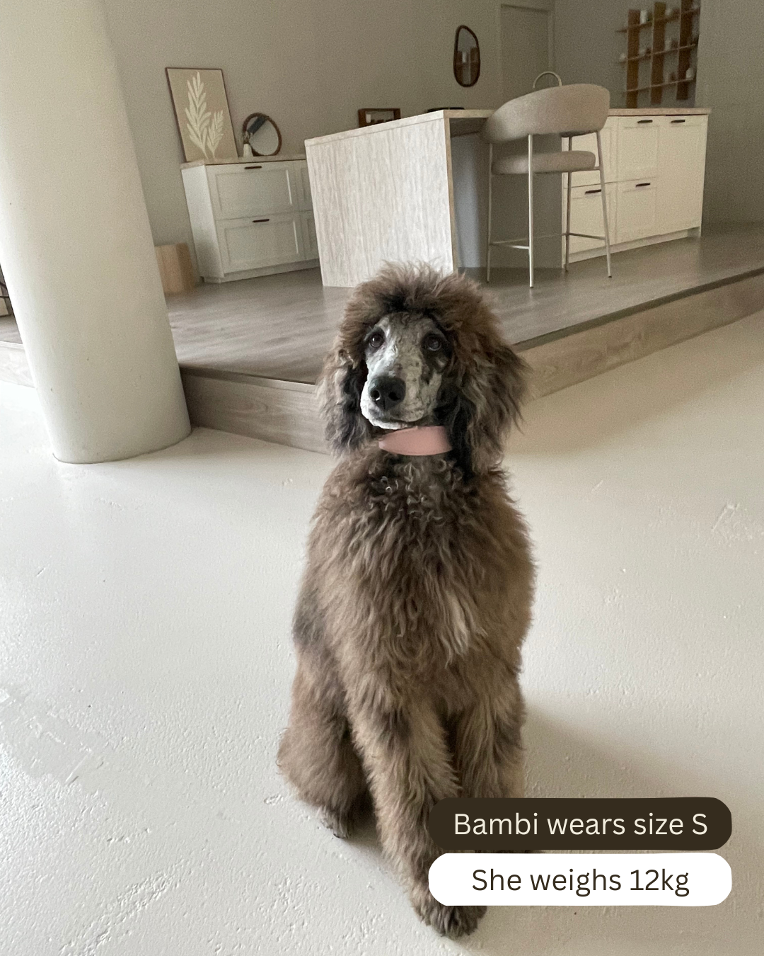 Pink Vegan Leather Collar