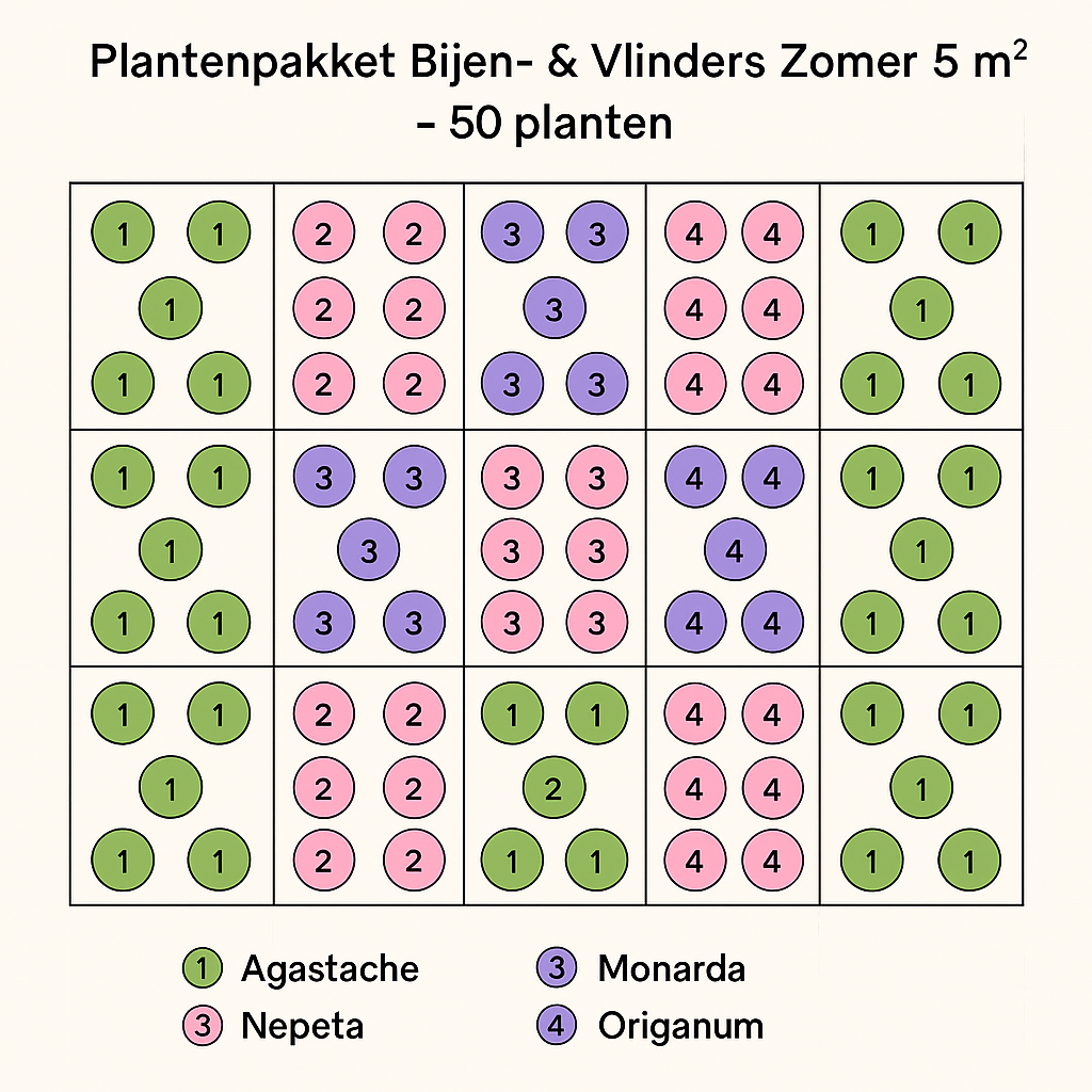 Borderpakket 'Bijen & Vlinders' - 5m² - 50 planten