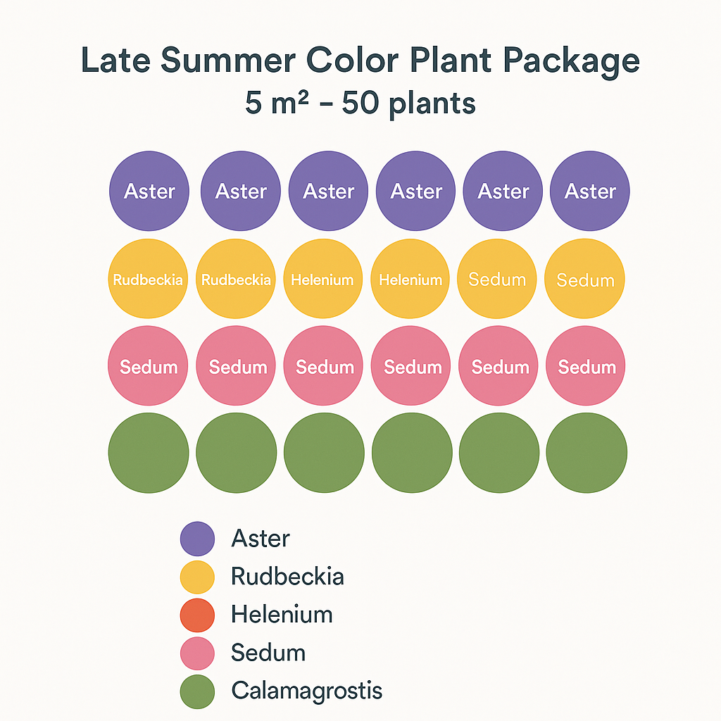 Borderpakket 'Nazomer & Kleur' - 5m² - 50 planten