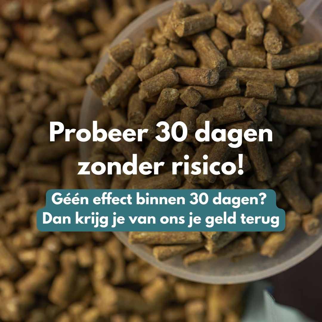 ActivePro | Bouw spierkracht op, herstel sneller