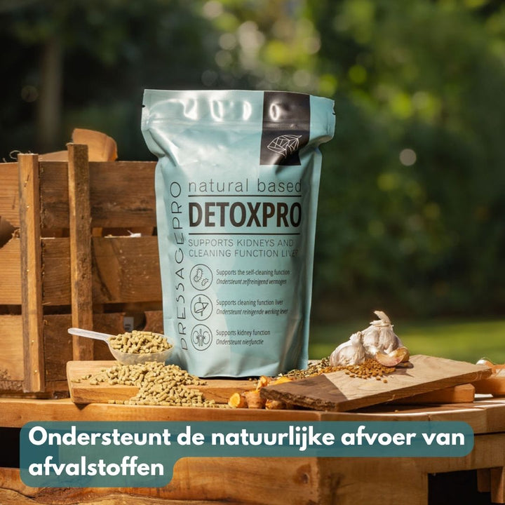 DetoxPro | Ondersteunt lever & afvoer van afvalstoffen [15-daagse kuur]