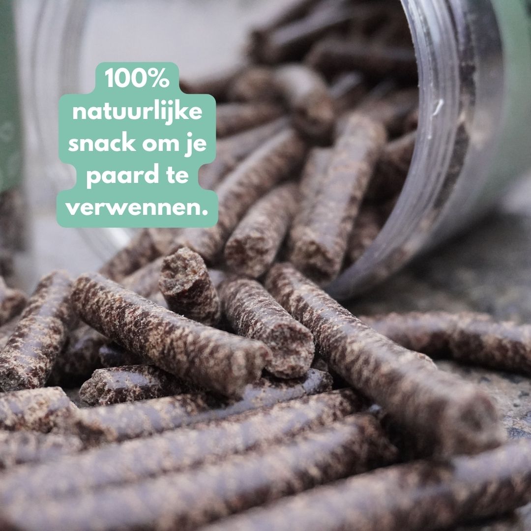 Nieuw! Treats - Crunchy Linseed