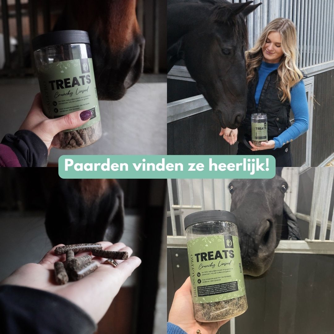 Nieuw! Treats - Crunchy Linseed