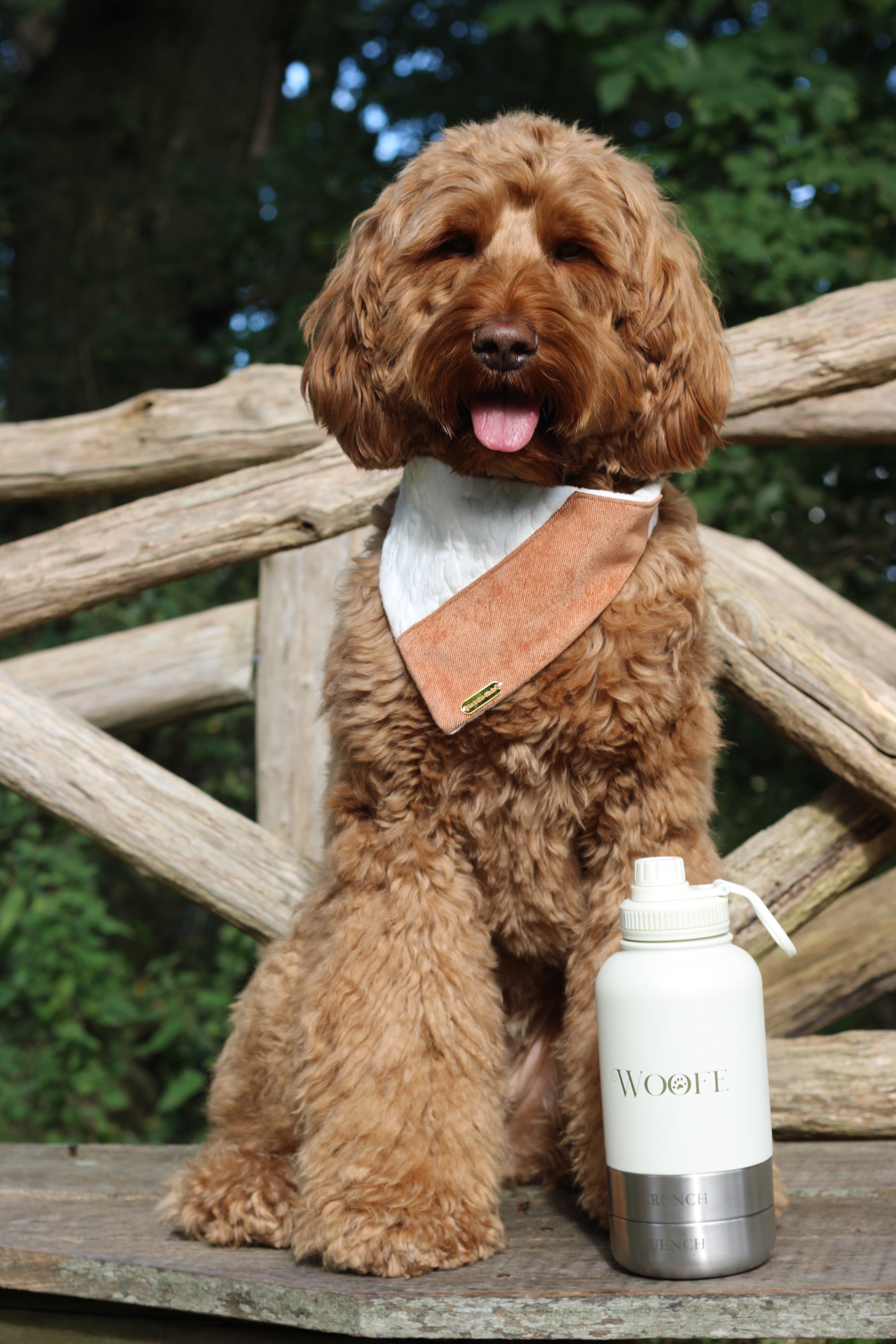 3 in 1 Water bottle - Oatmilk White