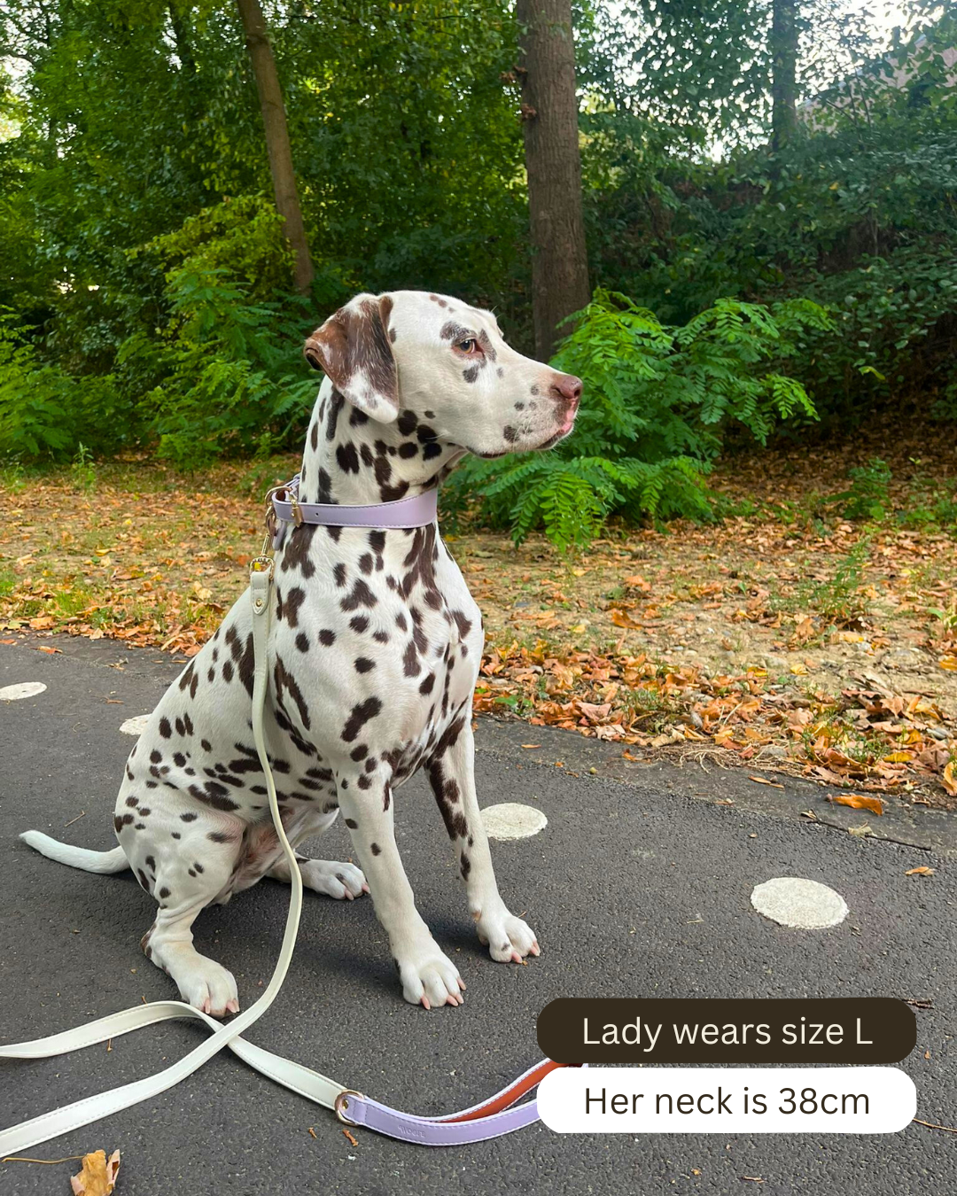 Lilac Vegan Leather Collar