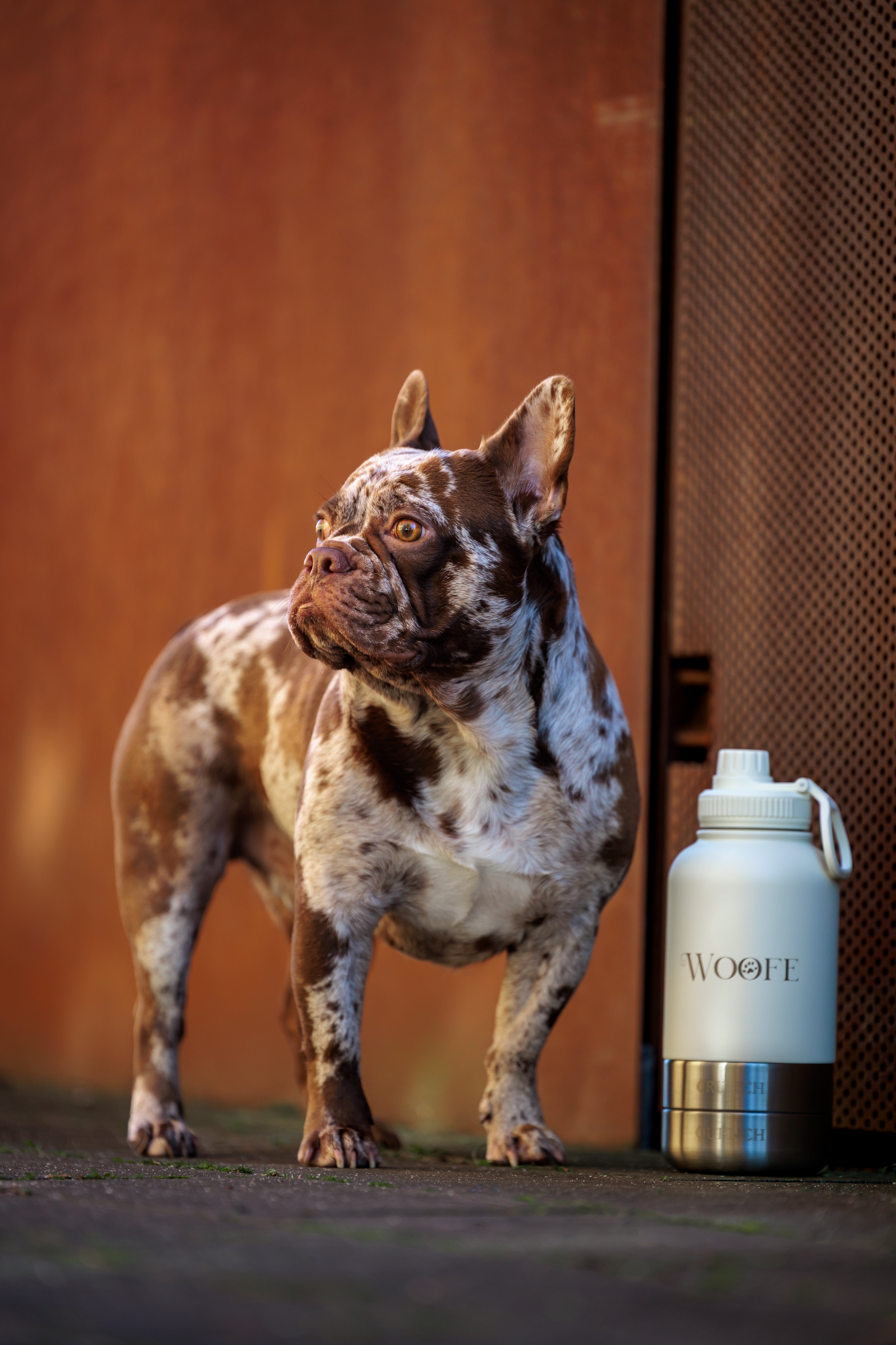 3 in 1 Water bottle - Oatmilk White