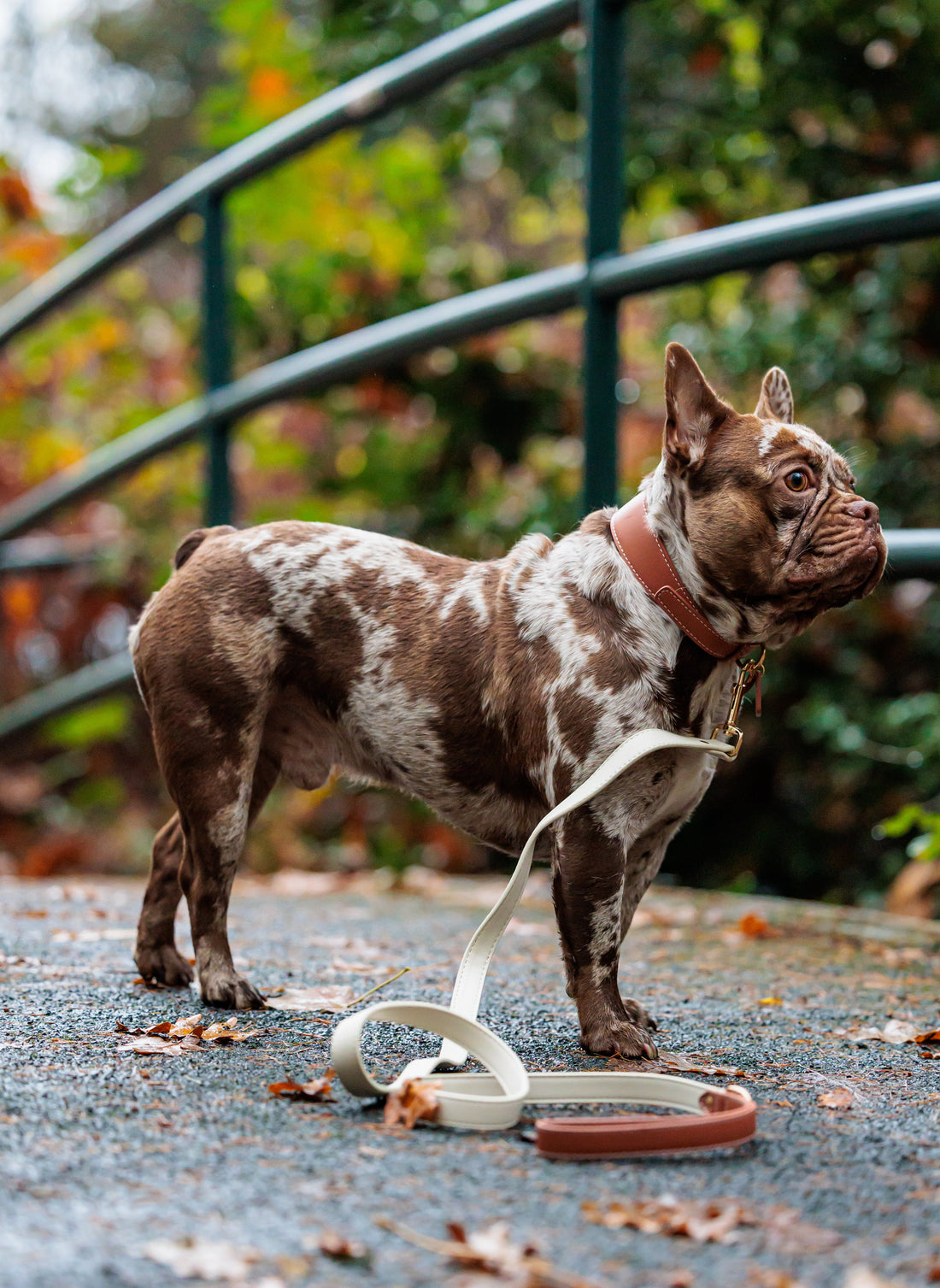 Mocha Vegan Leather Collar
