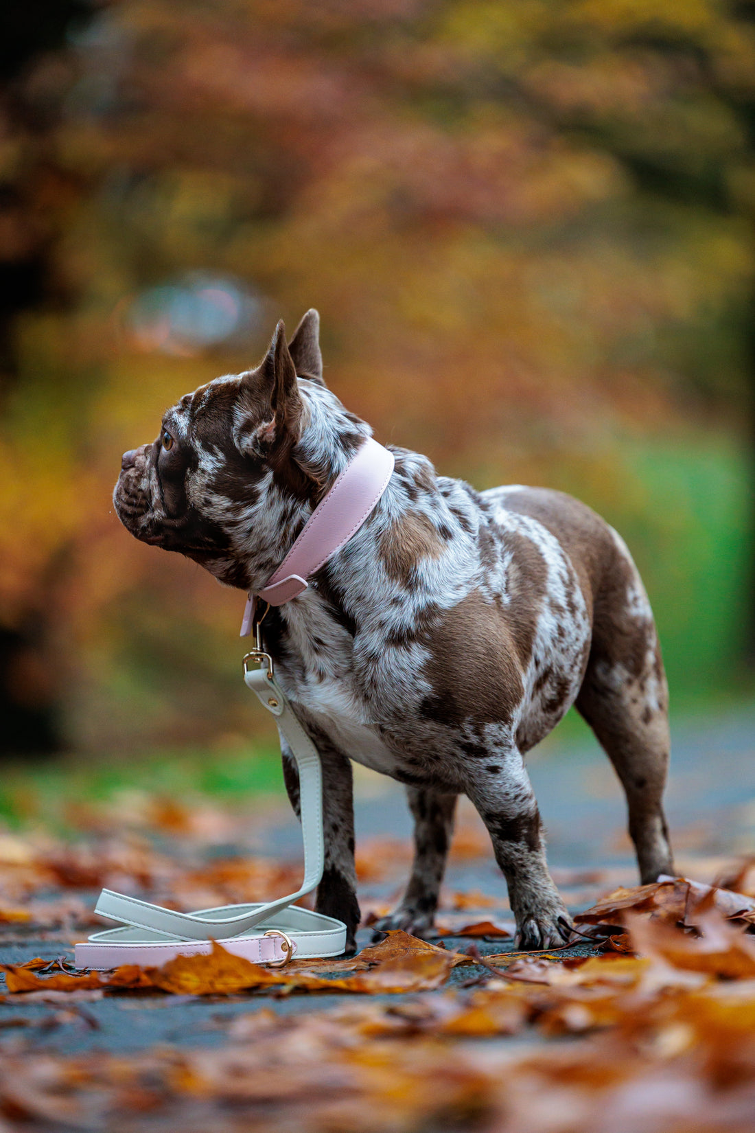 Pink Vegan Leather Leash