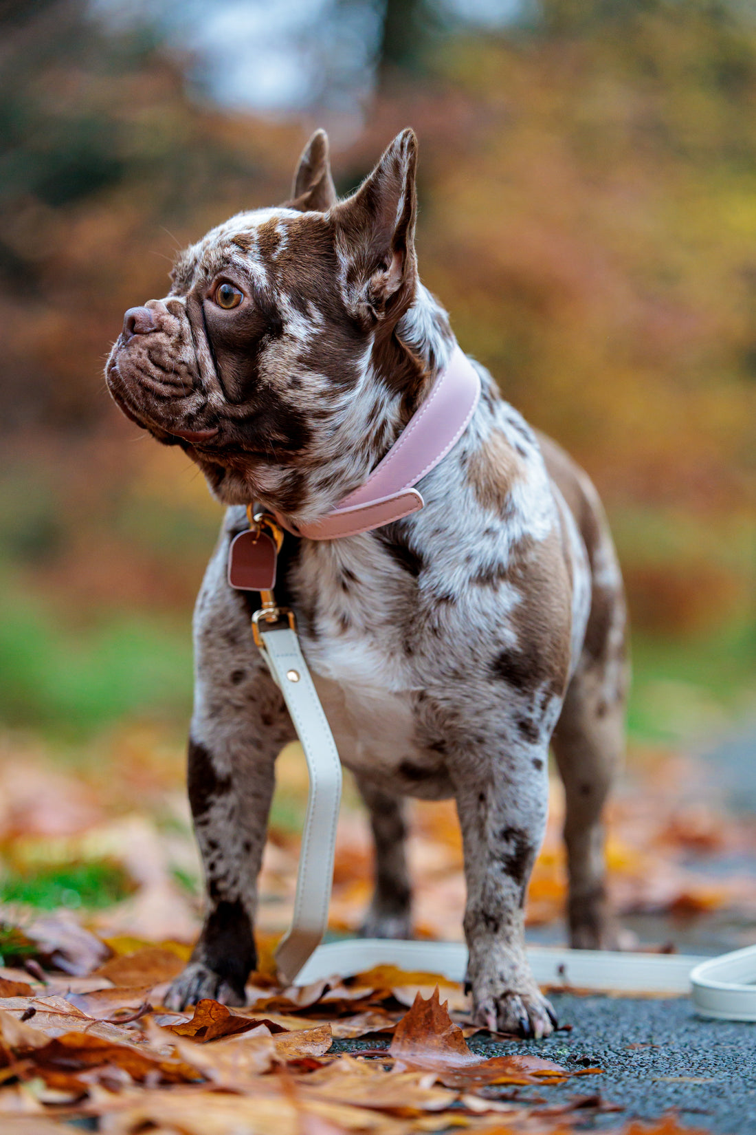 Pink Vegan Leather Leash