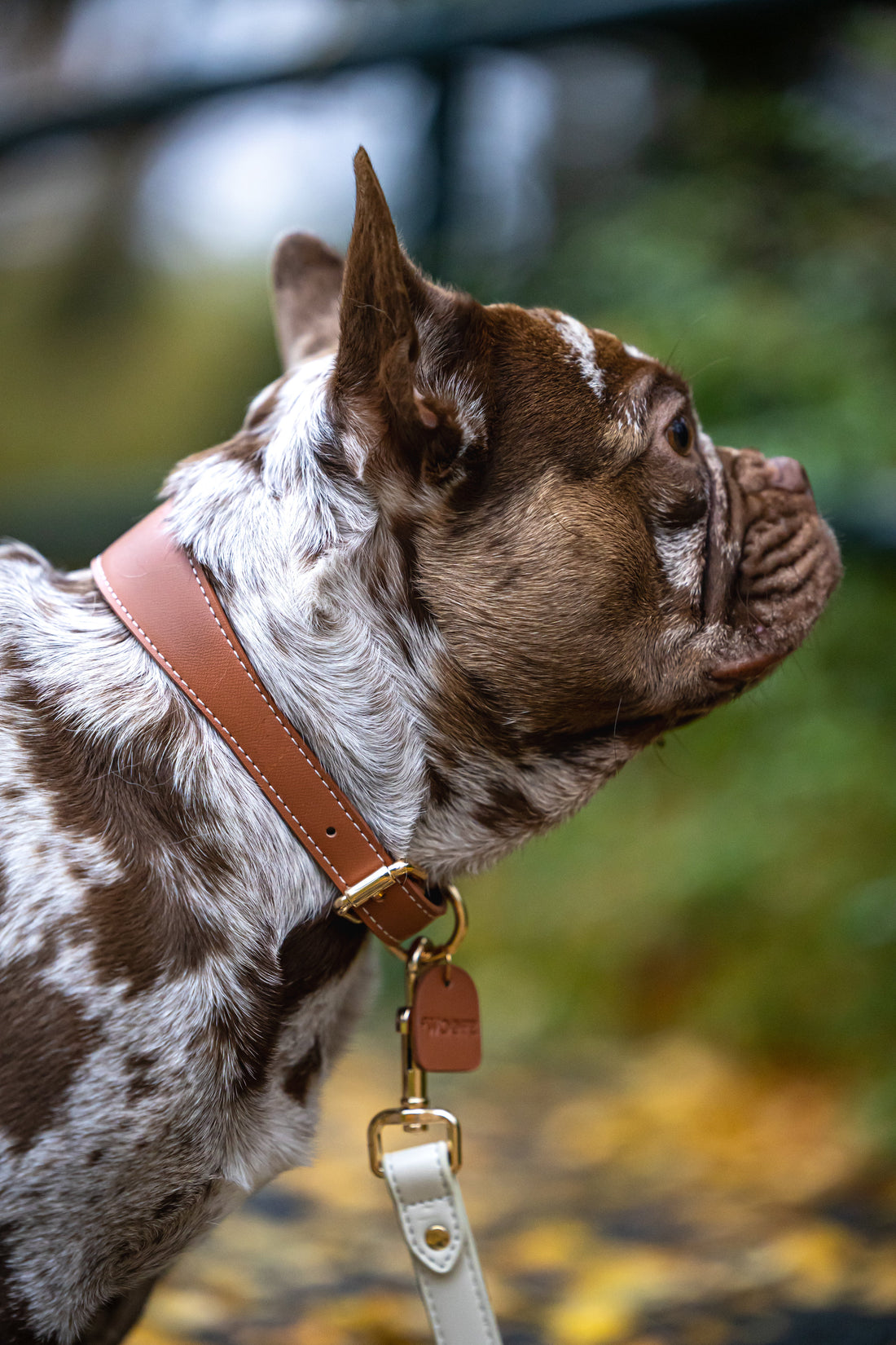 Mocha Vegan Leather Collar