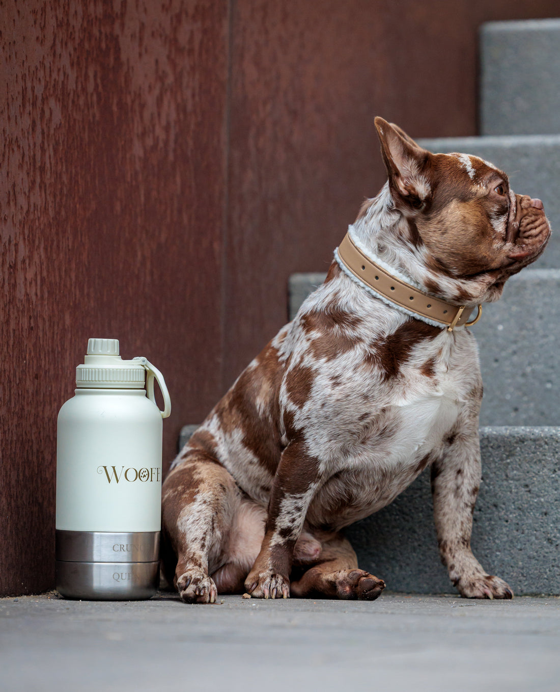 3 in 1 Water bottle - Oatmilk White