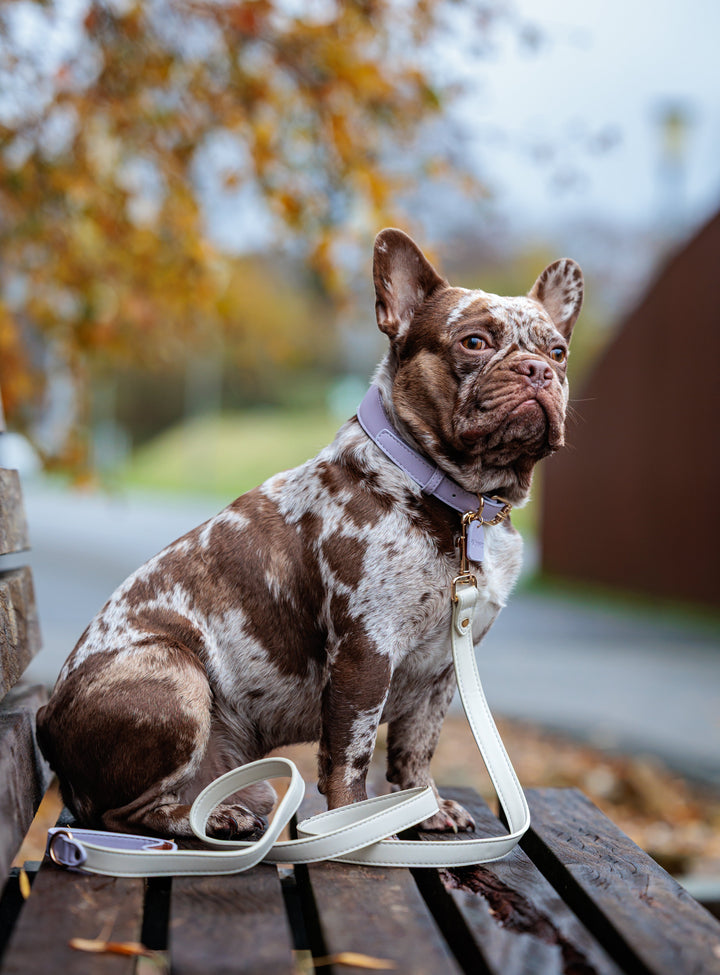 Lilac Vegan Leather Collar