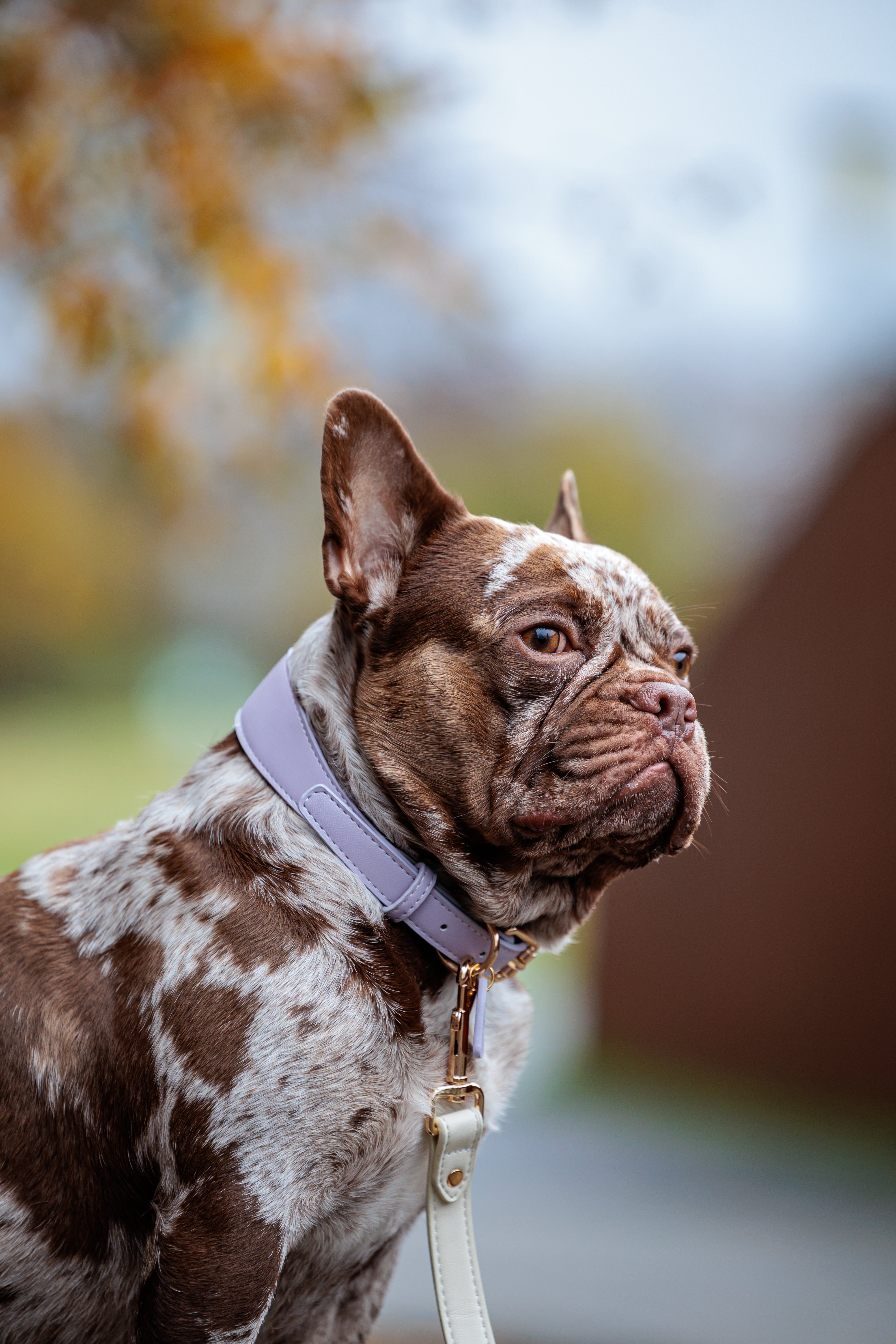 Lilac Vegan Leather Collar