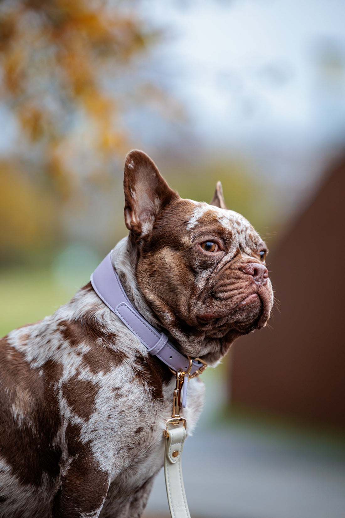 Lilac Vegan Leather Collar