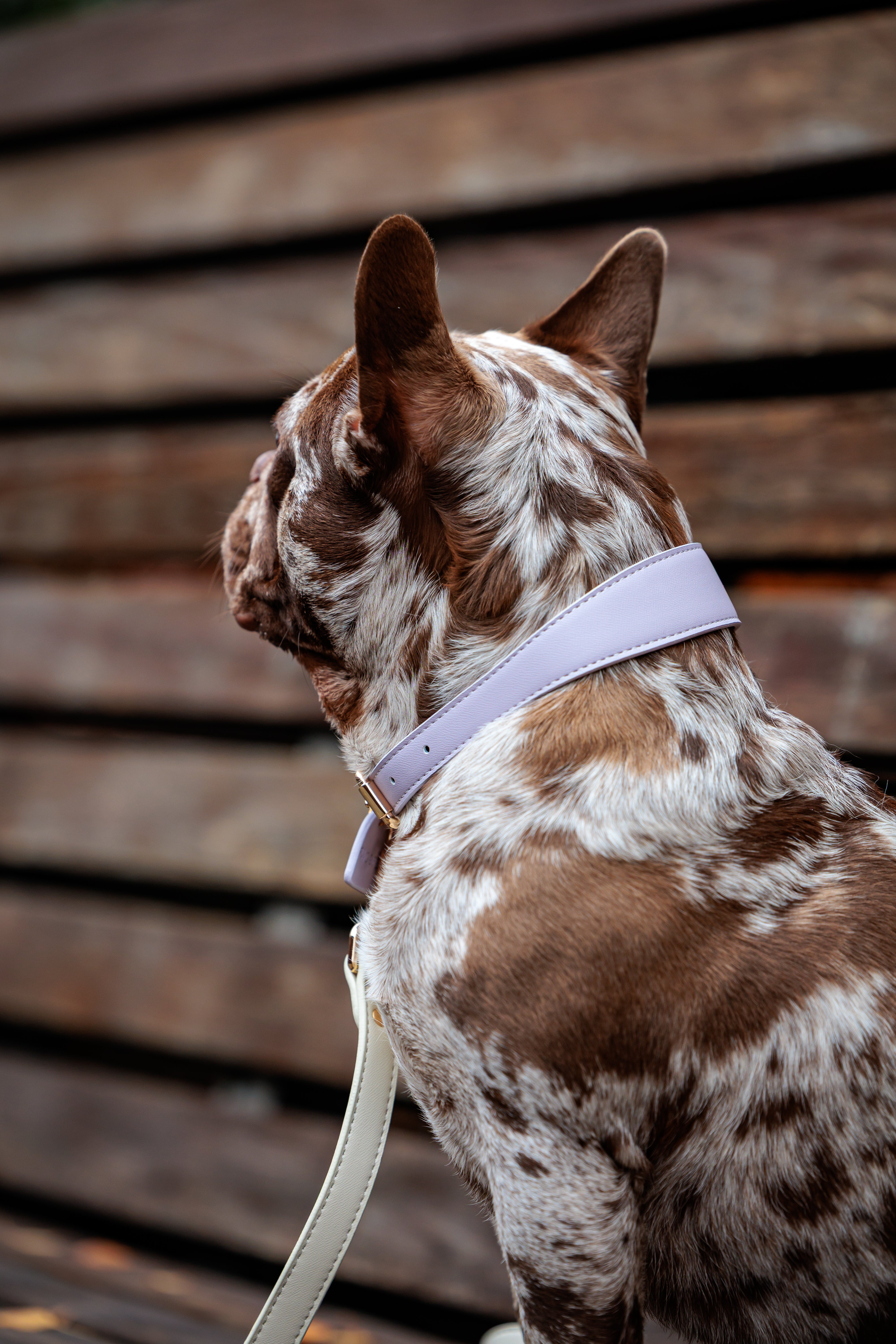 Lilac Vegan Leather Collar