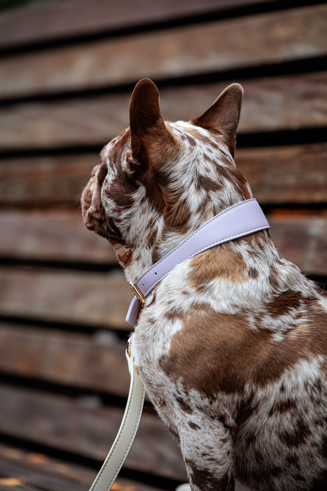 Lilac Vegan Leather Collar