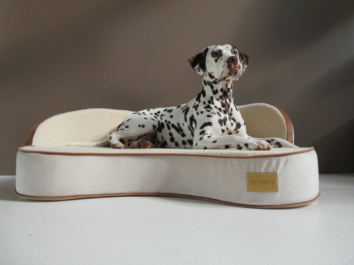The Maisonette Dog Sofa