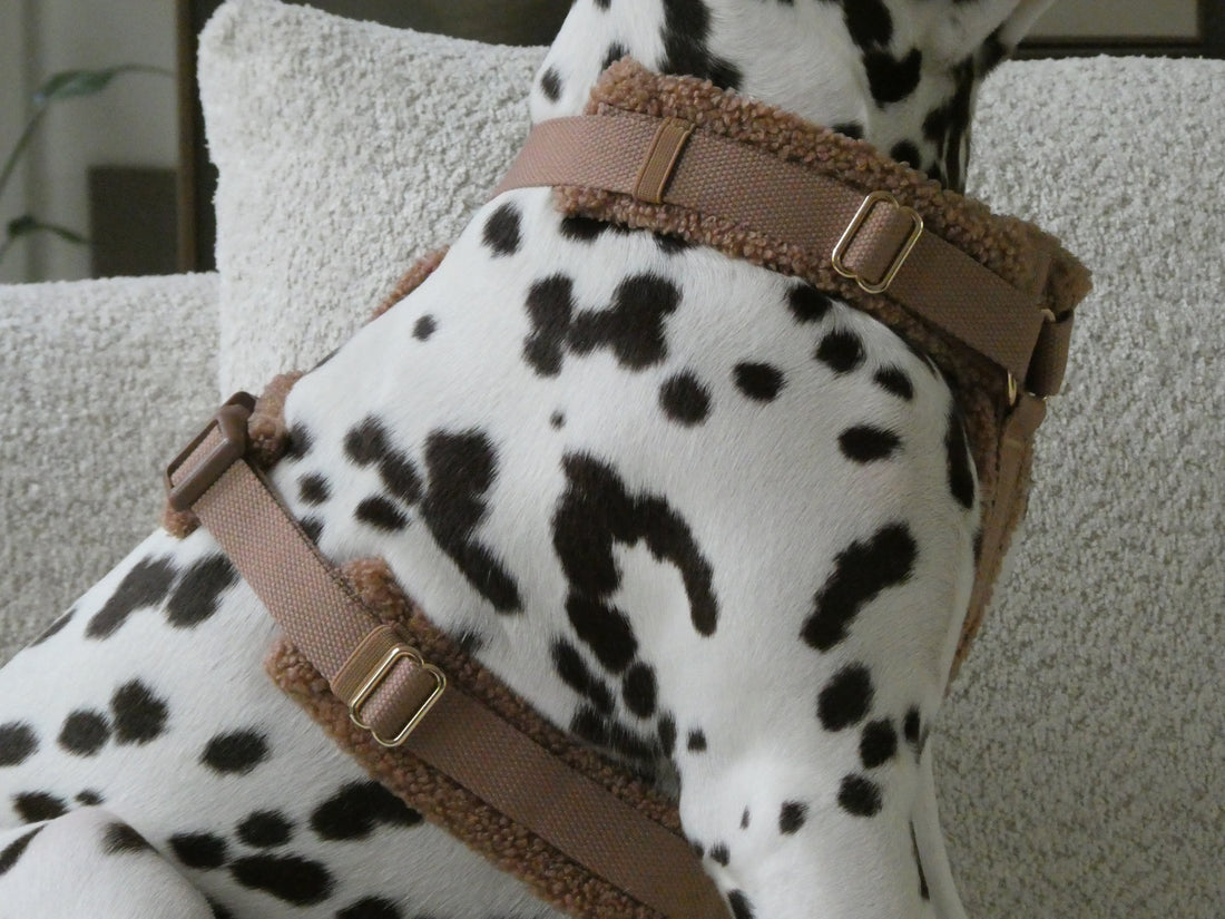 Teddy Harness Hazelnut