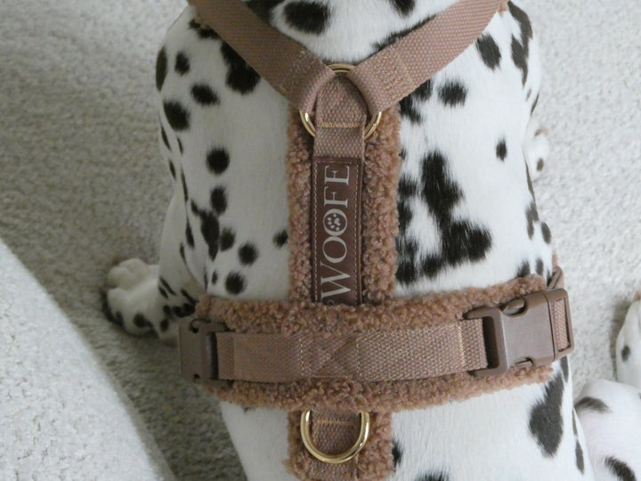 Teddy Harness Hazelnut