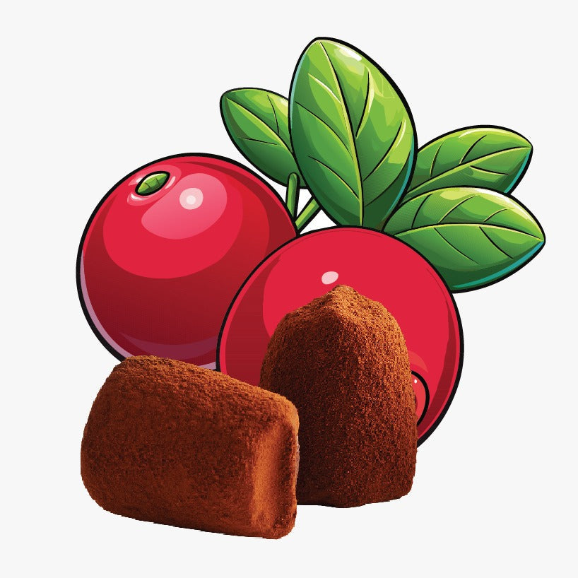 Cranberry chocolate truffles - bulk - Goat Corp