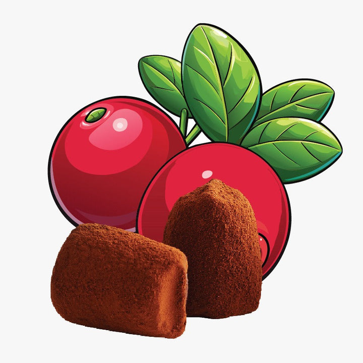 Cranberry chocolate truffles - bulk - Goat Corp