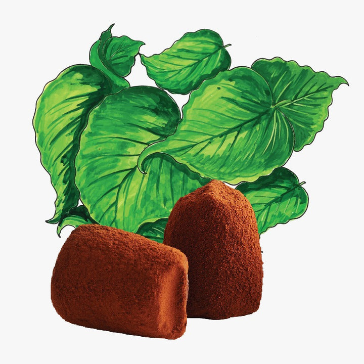 Mint Chocolate truffles - Bulk - Goat Corp