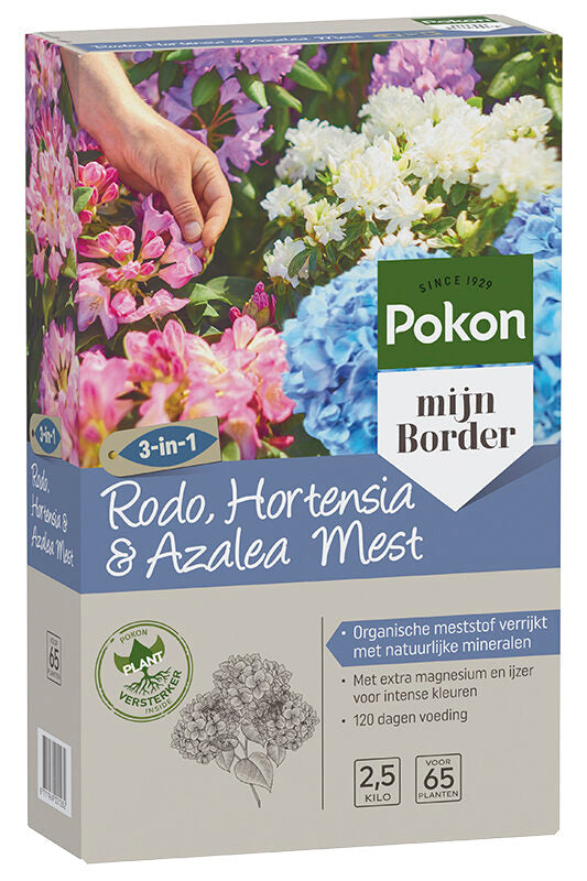 Hydrangea macrophylla - Boerenhortensia roze