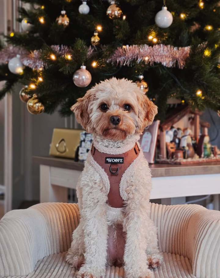 The Velvet Bear Harness