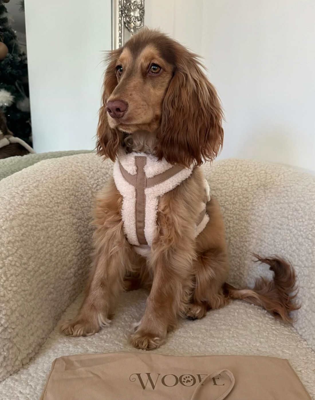 The Sherpa Bear Harness