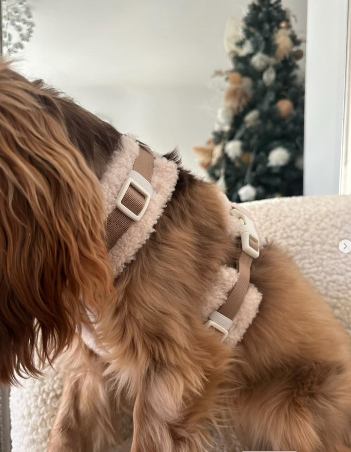 The Sherpa Bear Harness