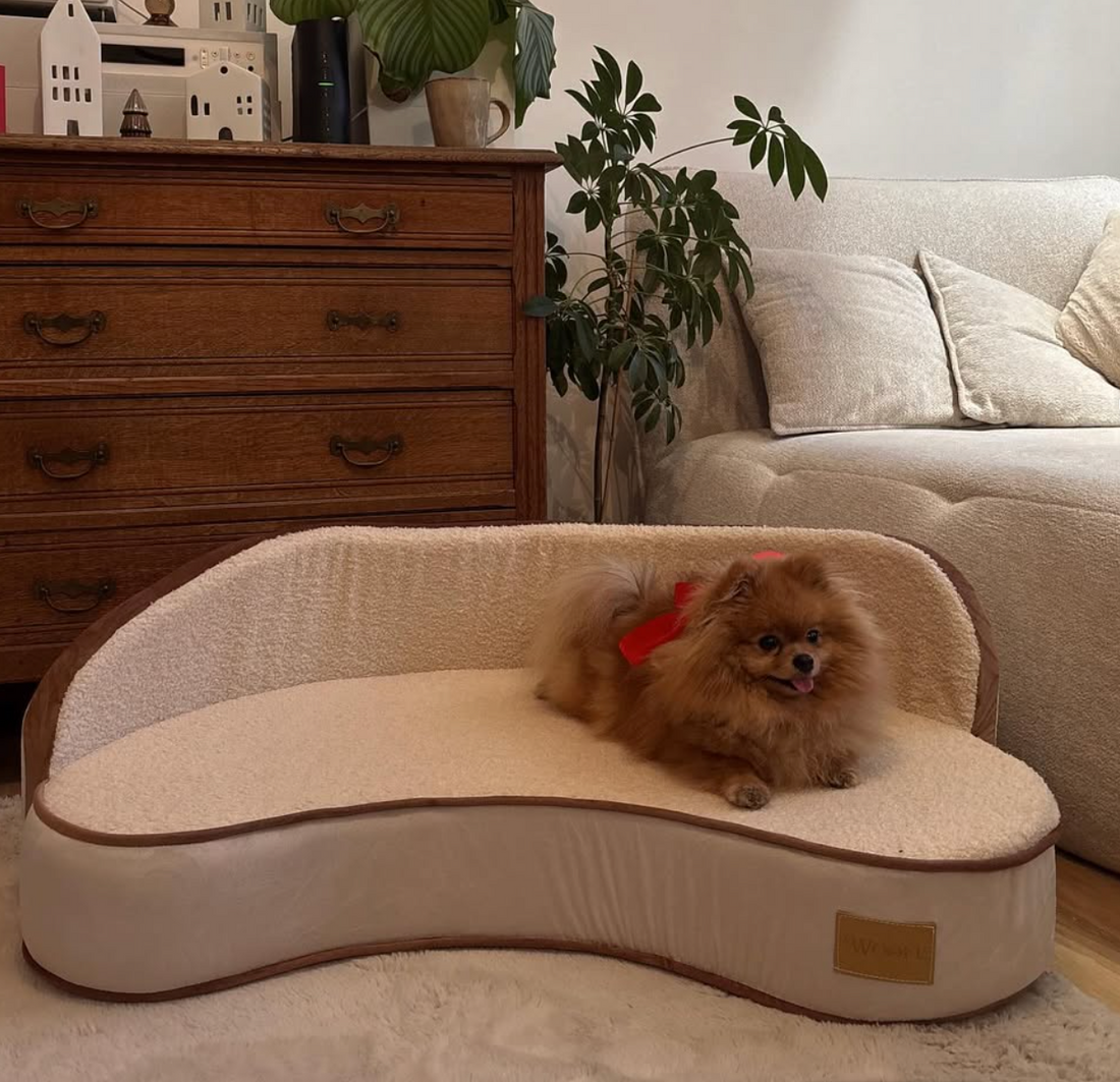 The Maisonette Dog Sofa