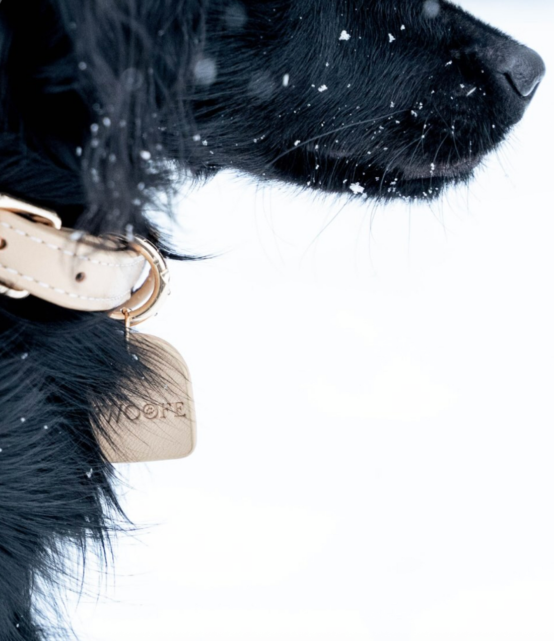 Beige Vegan Leather Collar