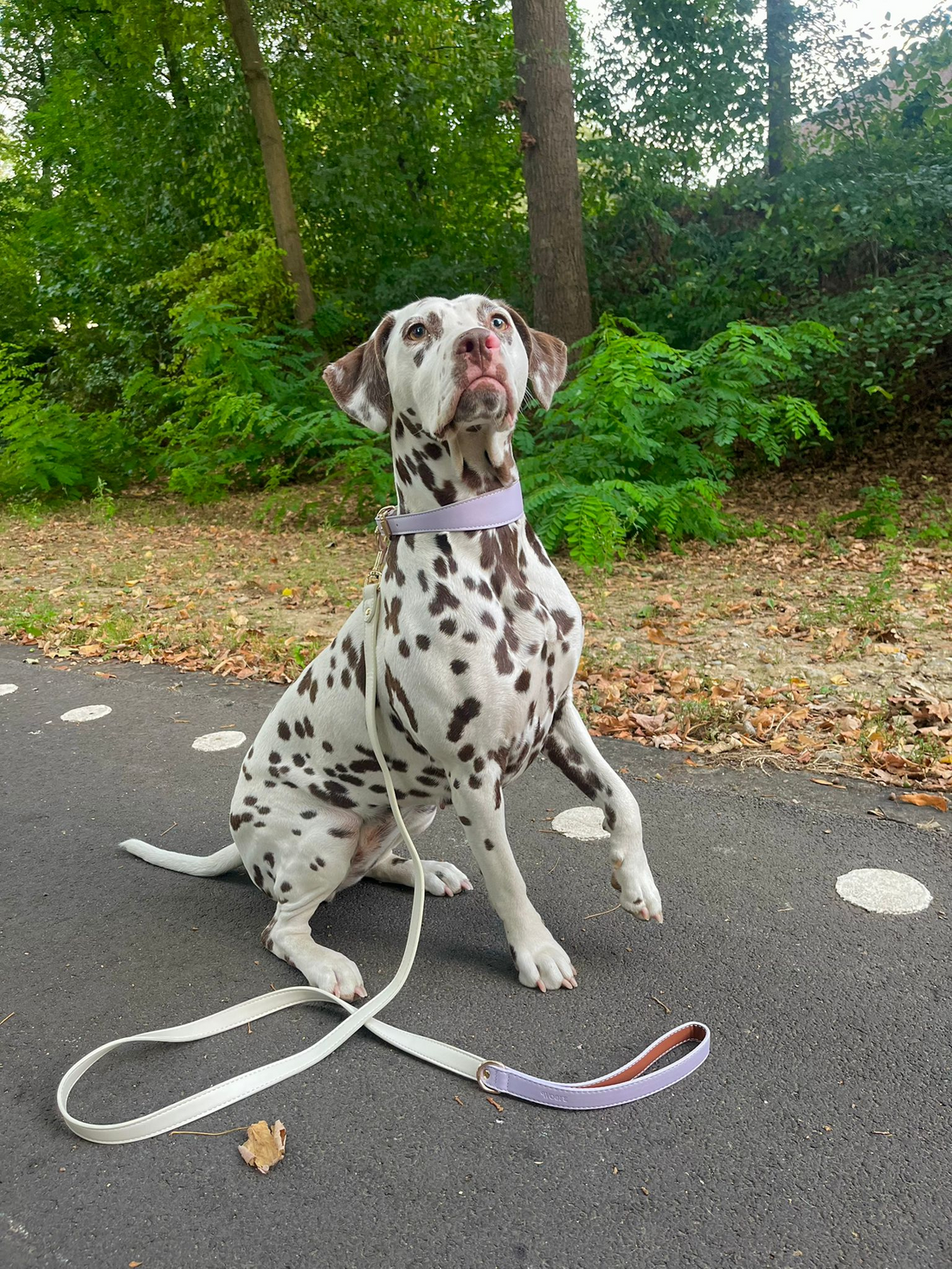 Lilac Vegan Leather Leash